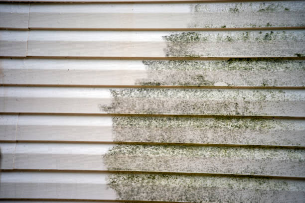 Best Storm Damage Siding Repair  in Villas, NJ
