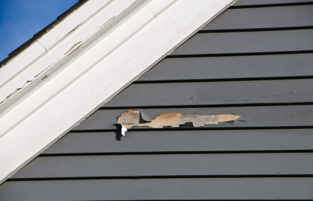 Best Aluminum Siding Installation  in Villas, NJ