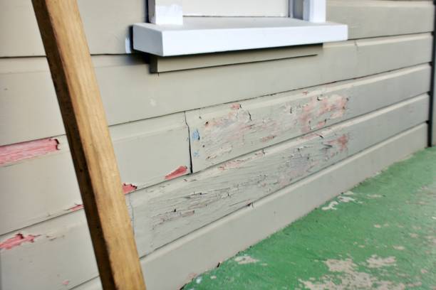 Best Engineered Wood Siding  in Villas, NJ